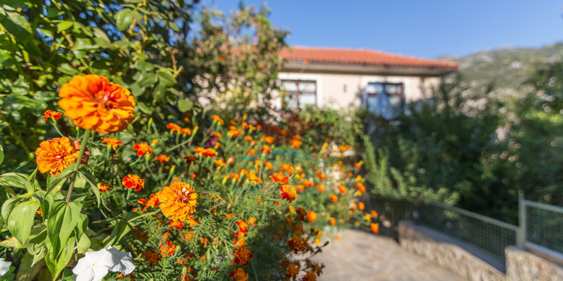 Villa Bağ Evi